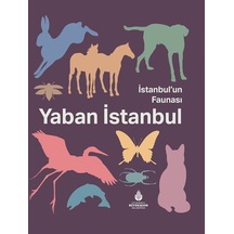 İstanbul'un Faunası Yaban İstanbul / Kolektif