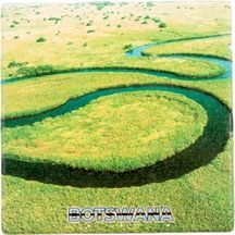 Botsvana Temalı Taş Bardak Altlığı Çok Renkli