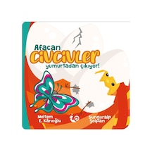 Afacan Civcivler Yumurtadan Çıkıyor - Kyut-757628