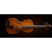 Valencıa Va16038 Viyola Kutulu 15" 38cm