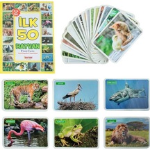 Bezos 1352flashcardsilk50hayvan-dıytoy Hb006