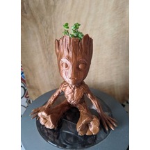 Groot Ağaç Bebek Groot Skulent Saksısı 10 Cm