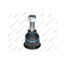 Rotil M131 Dkş Fı096 00303 4331253 4331439