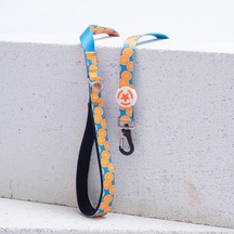 Citrus Leash Narenciye Desenli Kedi Köpek Sevk & Gezdirme Kayışı Köpek Uzatma Tasması Turkuaz