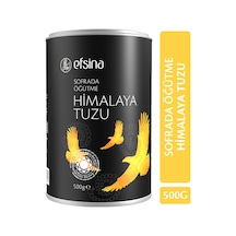 Efsina Sofrada Öğütme Himalaya Tuzu 500 G