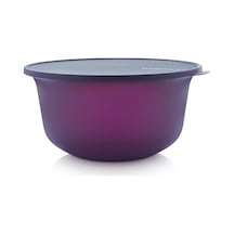 Tupperware Aloha Saklama Kabı 75 L N1140759 Mor