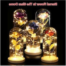 Dancemonkey Led Işıklı Cam Kapaklı Ahşap Tabanlı Gül, Sevgililer Günü Doğum Günü Düğün Hediyesi Çok Renkli Çok Renkli