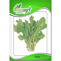Tere