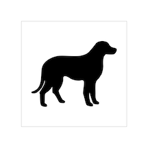 Köpek Folyo Sticker Derstv880 40cm Uzunluk Siyah