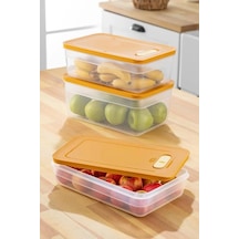 Tupper Model - Vakumlu - Mikrodalga Buzluk Saklama Kabı 3,8lt Çok Renkli