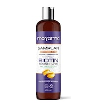 Morfarma Profesyonel Bakım Şampuanı - Biotin + Ginseng + Kafein