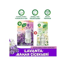 Air Wick Elektrikli Oda Kokusu Kit Lavanta 1 Cihaz 1 Koku + Yedek Şişe Bahar Çiçekleri Lavanta
