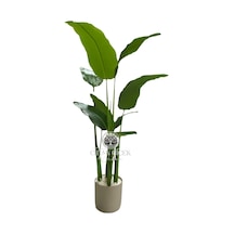 Cihan Çiçekçilik 5'li Muz Ağaçı 150cm Çok Renkli