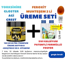 Yorkshire-agi-crest Ve Gloster Kanaryaları Için Premium Çok Güçlü Kızıştırma Ve Yumurtlatma Seti Bol Bol Yavru Verdirtir 150 Ml Egg Ve100 Gr Kızıştırıcı