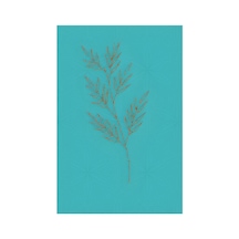 Kartela Halı Evo Halı Jüt Taban Dokuma Halı Mavi - 80 X 120 Cm