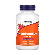Niacinamide 500 Mg 100 Capsules Vitamin B-3