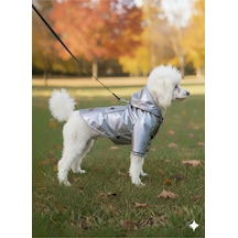Kedi - Köpek Kıyafeti Kapşonlu Platin Yağmurluk & Mont
