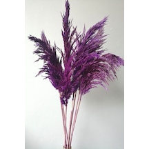 Mor 8'li Büyük Demet Pampas 100 Cm