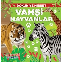 Dokun Ve Hisset Vahşi Hayvanlar - Ayho-761723