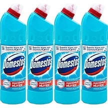 Domestos Çamaşır Suyu Okaliptüs Ferahlığı 750 Ml 4'lü Diğer