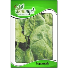 Ispanak Tohumu 10 GR