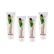 Farmasi Euro Fresh Whitening Aloe Veralı Misvaklı Beyazlatıcı Diş Macunu 4 x 112 G