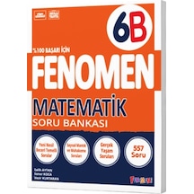 Fenomen 6 Matematik Soru Bankası B