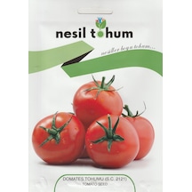 NesilSc2121 Domates Tohumu 3 GR