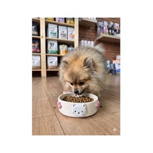 Pembe Çiçek Ve Hello Kitty Detaylı Mama Kabı - Kedi Ve Köpek
