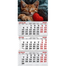 2026 Yılı Gemici Takvimi- Uyuyan Kedi Ve Kalp