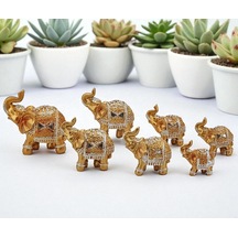 Karışık Çok Renkli