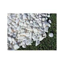 Dolomit Taş 5 Kg 1-2 Cm Beyaz Dolomit Bahçe Taşı Çakıl Taşı Saksı Taşı Akvaryum Teraryum Taşı