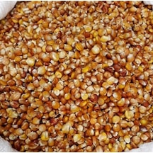 Yerli Kırmızı Tane Mısır Tohumu 50 GR