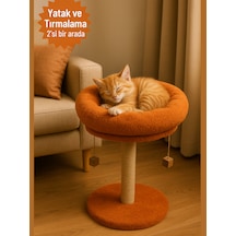 Komano Pontika 2 si 1 Arada Kedi Tırmalama Tahtalı Yuvarlak Kedi Yatağı