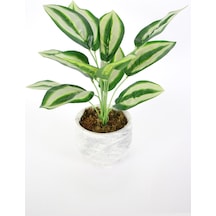 Saksıda Uzun Yapraklı Yapay Bitki 42 Cm Model-8