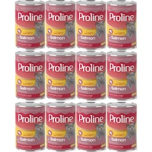 Pro Line Somonlu Yetişkin Kedi Konservesi 12 x 400 G
