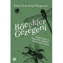 Böcekler Gezegeni: Tuhaf Yararlı ve Hayranlık Uyandırıcı Dostlarımız Üzerine - Anne Sverdrup Thygeson - Koç Üniversitesi Yayınları