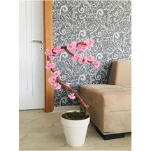 Çiçekleri Çin 60 X 60 Diğer