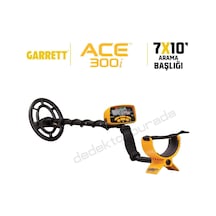 Garrett Ace300i