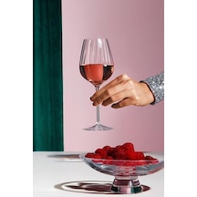 Paşabahçe Nude Round Up Beyaz Şarap Kadehi, 2'li Set, Kurşunsuz Kristal Diğer
