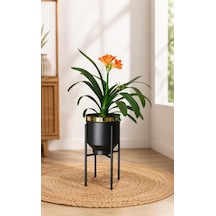 Ayaklı Metal Saksı Siyah Gold Detaylı Dekoratif Çiçeklik 41x21cm Diğer
