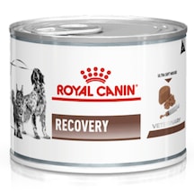 Royal Canin Recovery Kedi & Köpek Yoğun Bakım Yaş Mama 195 Gr