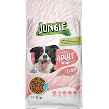 3 Adet Jungle Kuzulu Yetişkin Köpek Maması 10 Kg