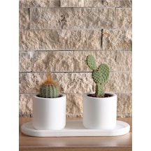 Bernami Biblo Pinterest Mini Silindir Sukulent Saksı Oval Tabaklı Set Dekoratif Hediyelik Ham Beyaz