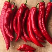 50 Adet Tohum Organik Acı Samandağ Biberi Tohumu Sürpriz