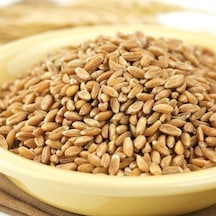 Bizim Yem Ayvalık Baharat Buğday Tavuk Güvercin Yemi 3 KG