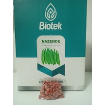 Biotek Oturak Nazende Fasulye Tohumu 100 Gr 2 Adet