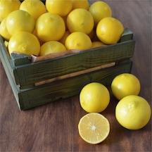 3 Yaş Aşılı Tatlı Limon Fidanı. Torbada