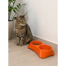 İkili Model Beton Kedi Köpek Mama Ve Su Kabı 24cm 12cm 5cm - Turuncu
