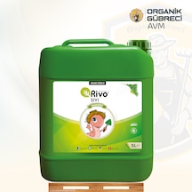 5 L